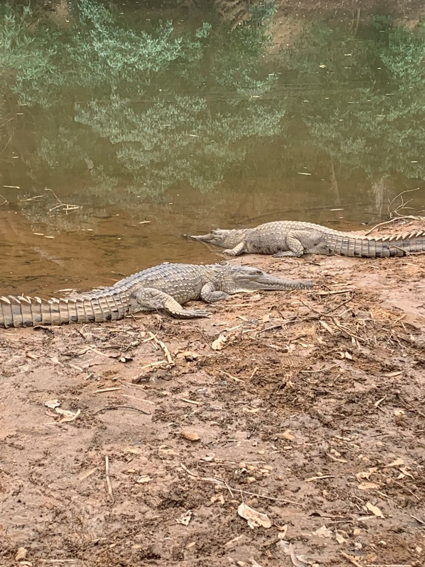 Top End & Kakadu